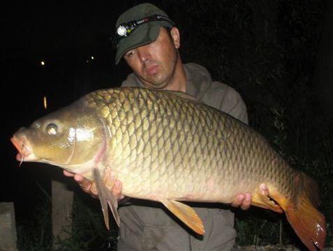 Hermes Peris 17 - 19 iul. - 5.JPG